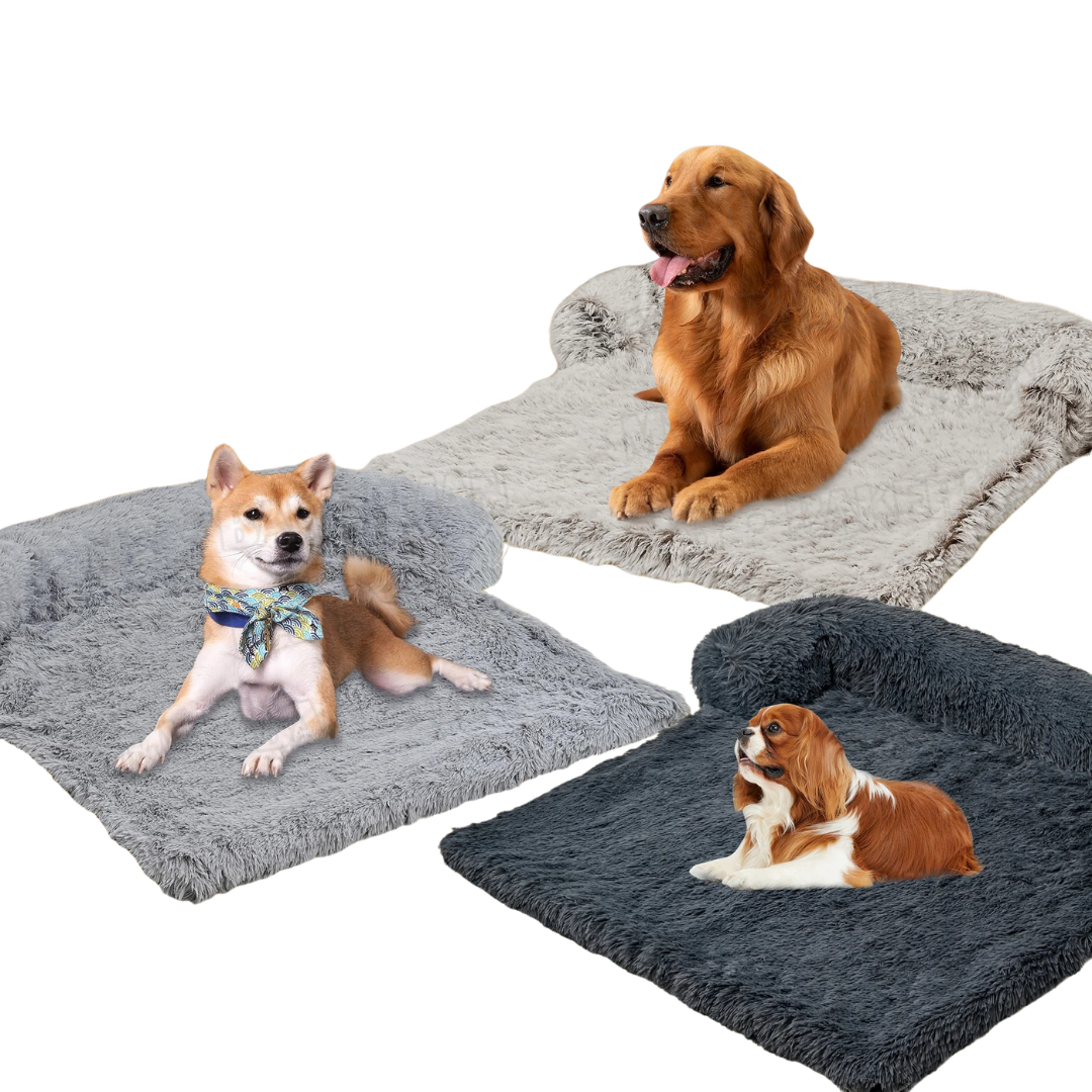PawGuard – Wasserdichter Sofaschutz für Hunde