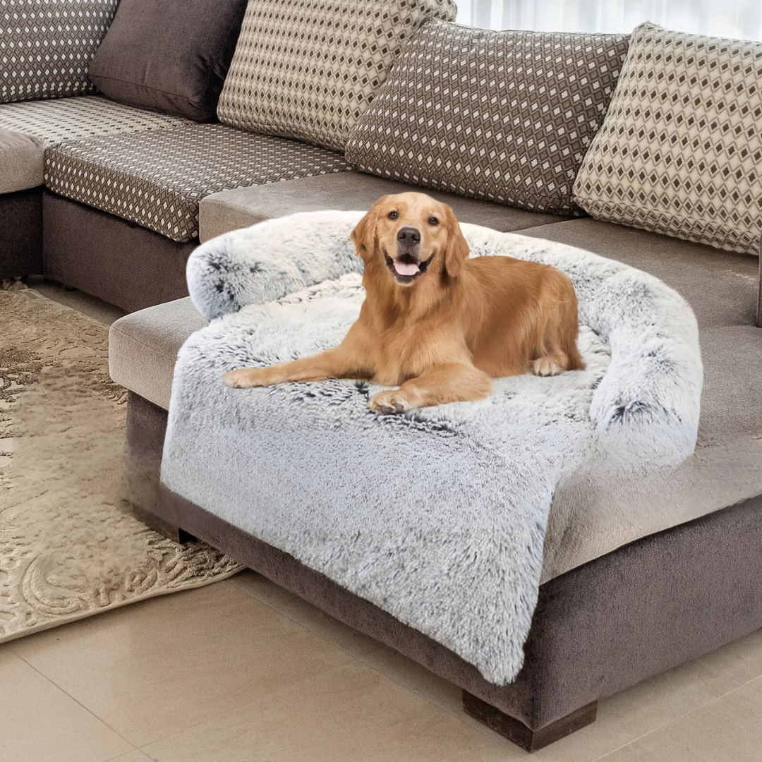 PawGuard – Wasserdichter Sofaschutz für Hunde