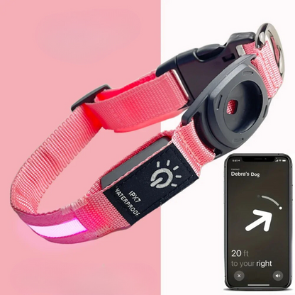 GlowTrack – LED Hundehalsband mit Wasserschutz und Lichtmodi für maximale Sichtbarkeit