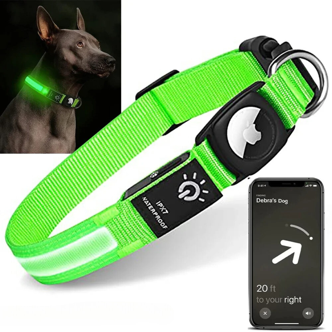 GlowTrack – LED Hundehalsband mit Wasserschutz und Lichtmodi für maximale Sichtbarkeit