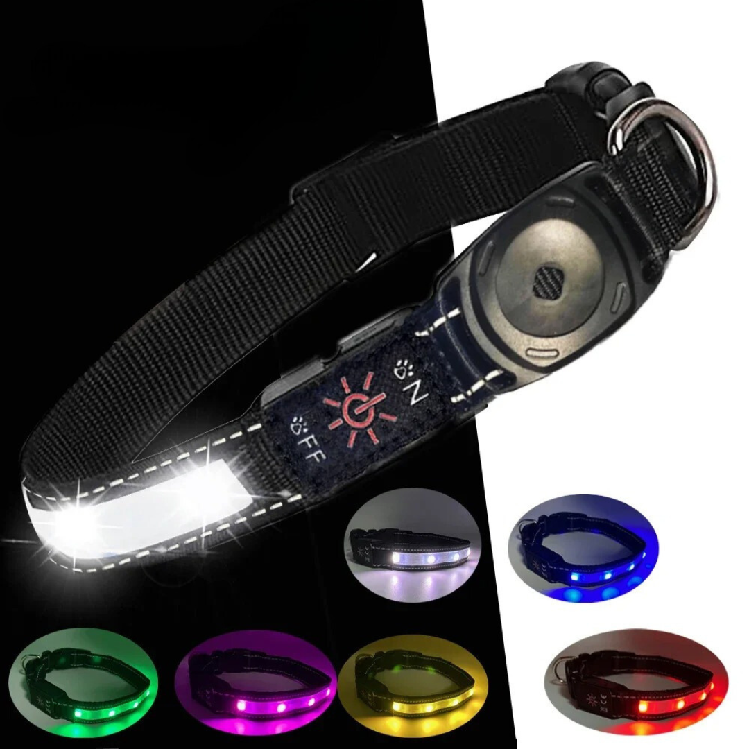 GlowTrack – LED Hundehalsband mit Wasserschutz und Lichtmodi für maximale Sichtbarkeit