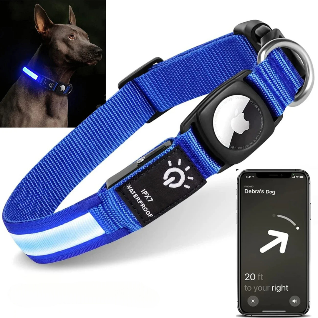 GlowTrack – LED Hundehalsband mit Wasserschutz und Lichtmodi für maximale Sichtbarkeit