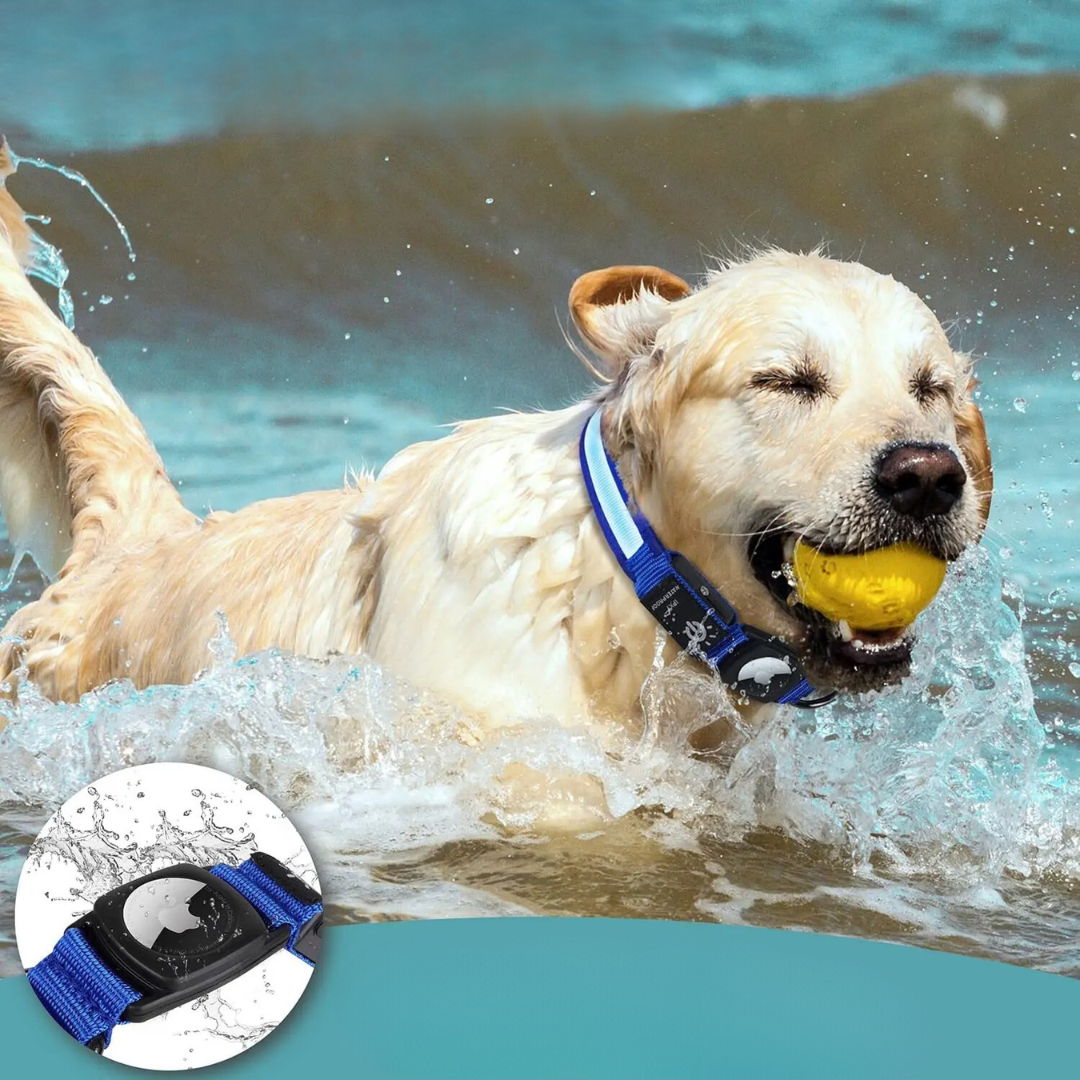GlowTrack – LED Hundehalsband mit Wasserschutz und Lichtmodi für maximale Sichtbarkeit