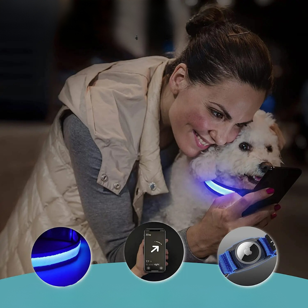 GlowTrack – LED Hundehalsband mit Wasserschutz und Lichtmodi für maximale Sichtbarkeit