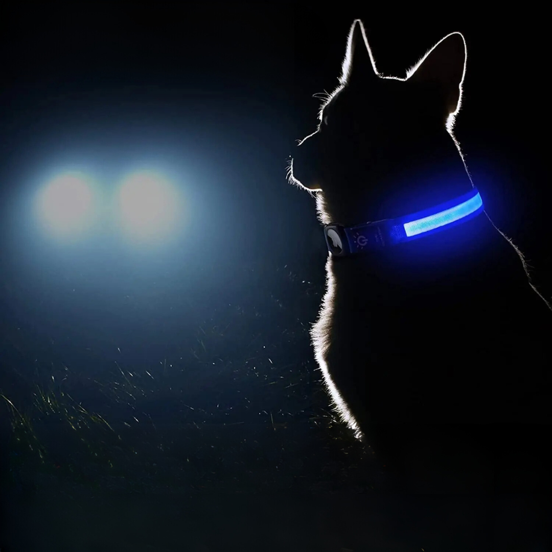 GlowTrack – LED Hundehalsband mit Wasserschutz und Lichtmodi für maximale Sichtbarkeit