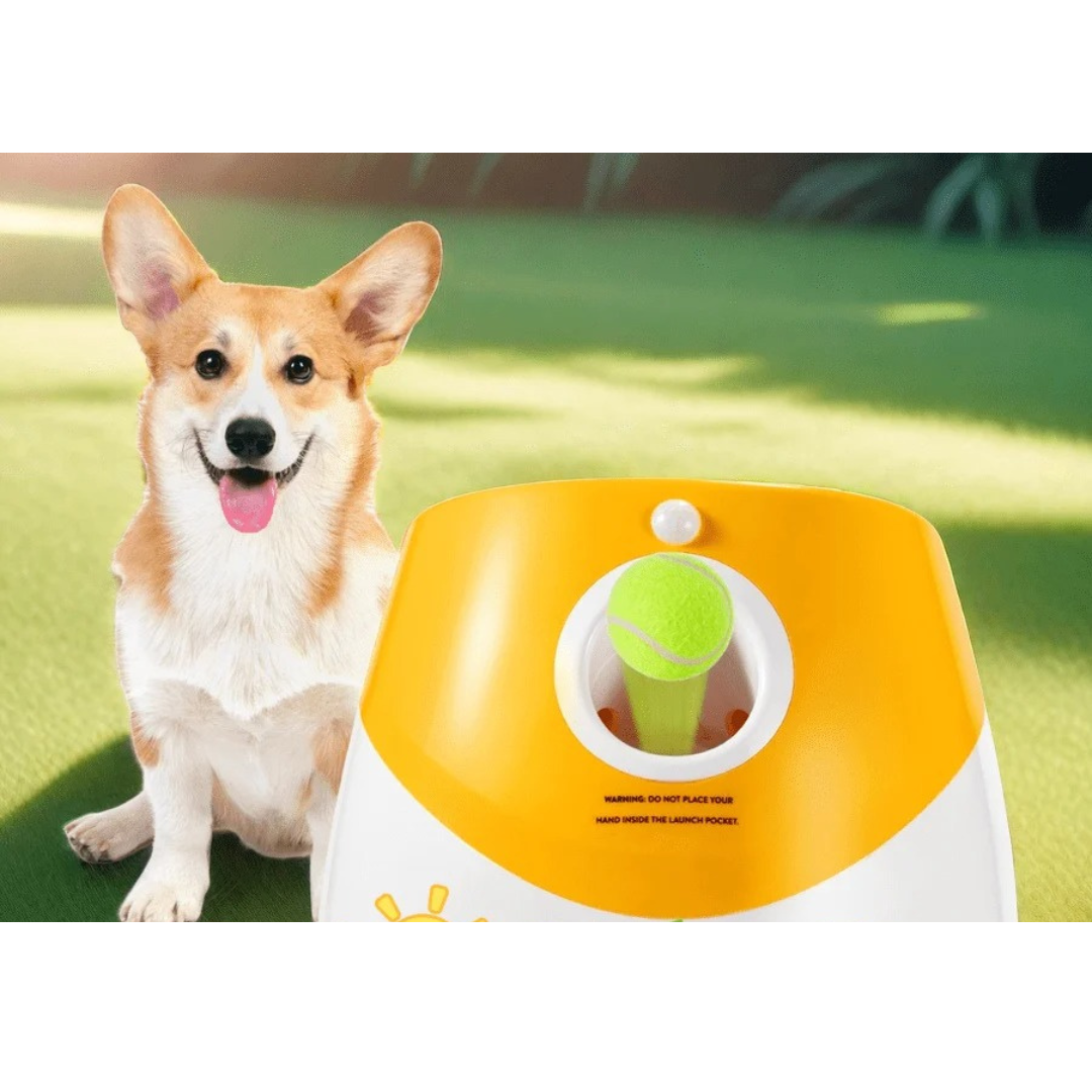 FetchPro – Automatischer Ballwerfer für Hunde