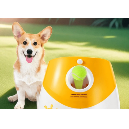 FetchPro – Automatischer Ballwerfer für Hunde